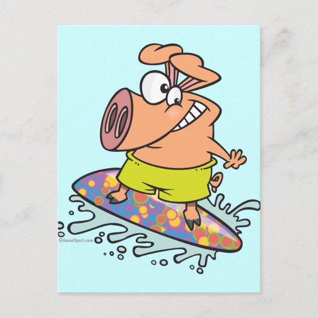 cute silly surfer surfing piggy pig postcard (Front)