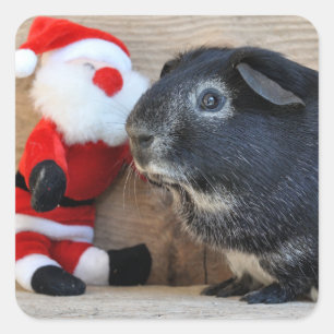Cute Silver Fox Guinea Pig and Santa Claus Square Sticker