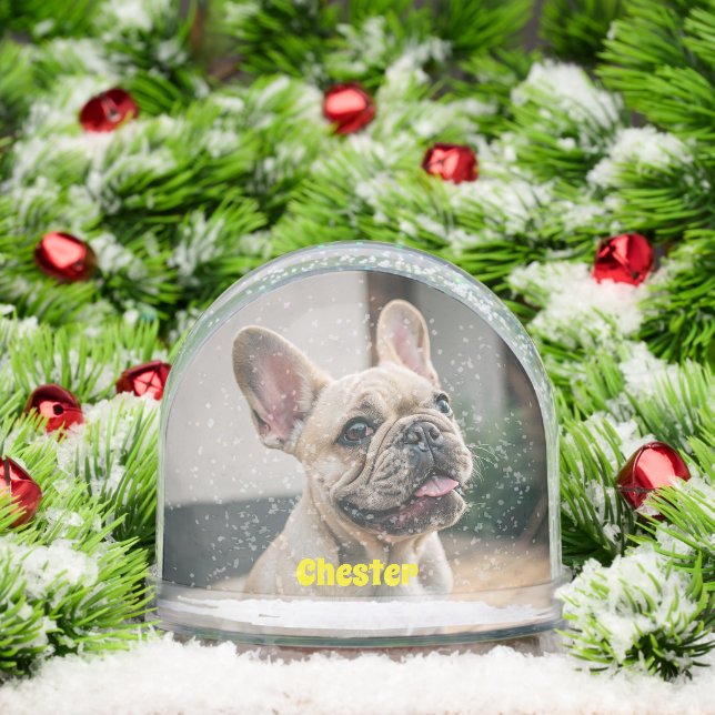 Cute Simple First Name Pet Dog Photo Typography Snowglobe (Christmas)