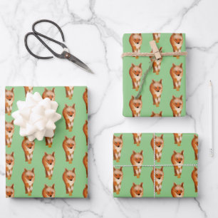 Cute Simple Fox Style Wrapping Paper Sheet