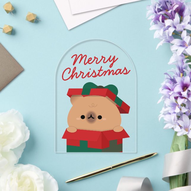 Cute Simple Fun Merry Christmas Acrylic Invitations (Insitu (Wedding))