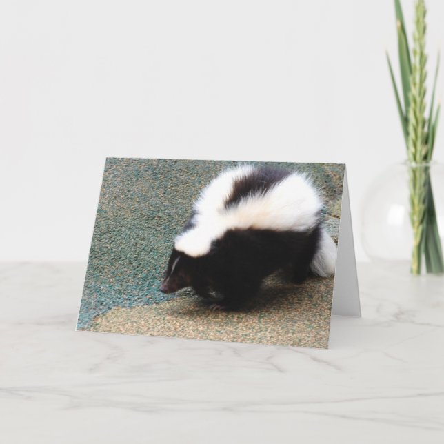 Cute Skunk Greeting Card (Front)