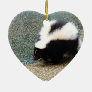 Cute Skunk  Ornaments