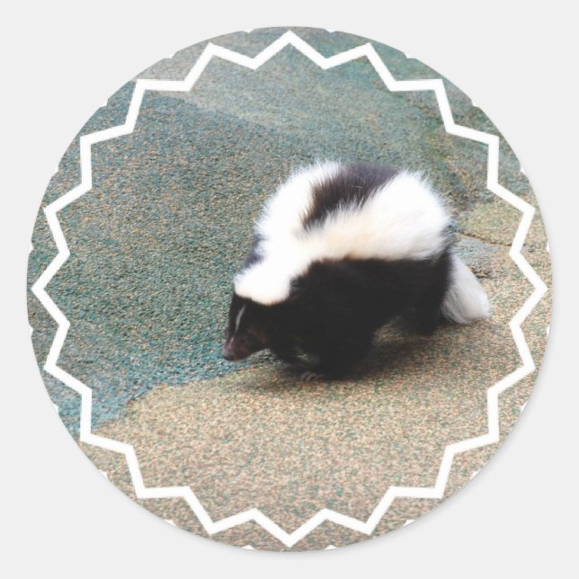 Cute Skunk Sticker (Front)