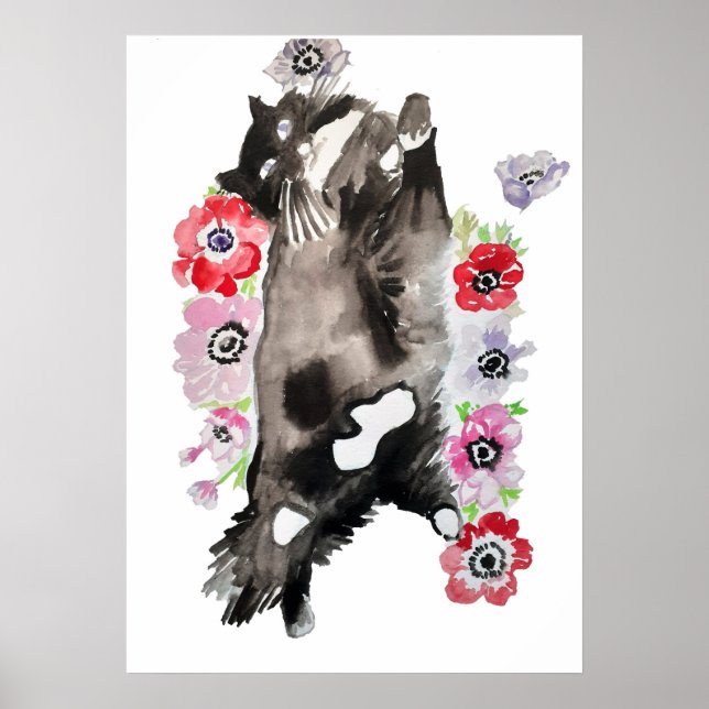 Cute Sleeping Black White Tuxedo Cat Cats Poster (Front)