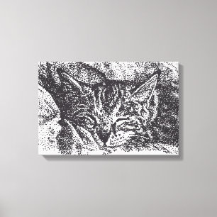 Cute Sleeping Cat Drawing Canvas Print