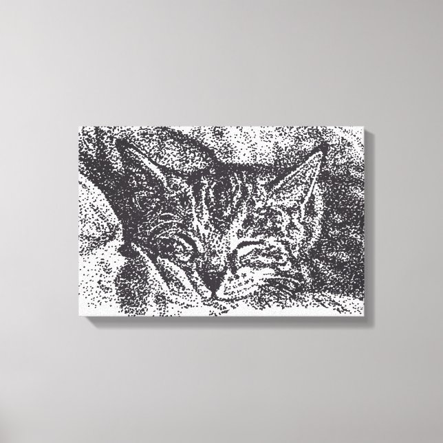 Cute Sleeping Cat Drawing Canvas Print (Front)