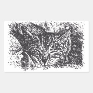 Cute Sleeping Cat Drawing Rectangular Sticker