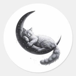 Cute Sleeping Cat on Moon – Aesthetic Night Poster Classic Round Sticker