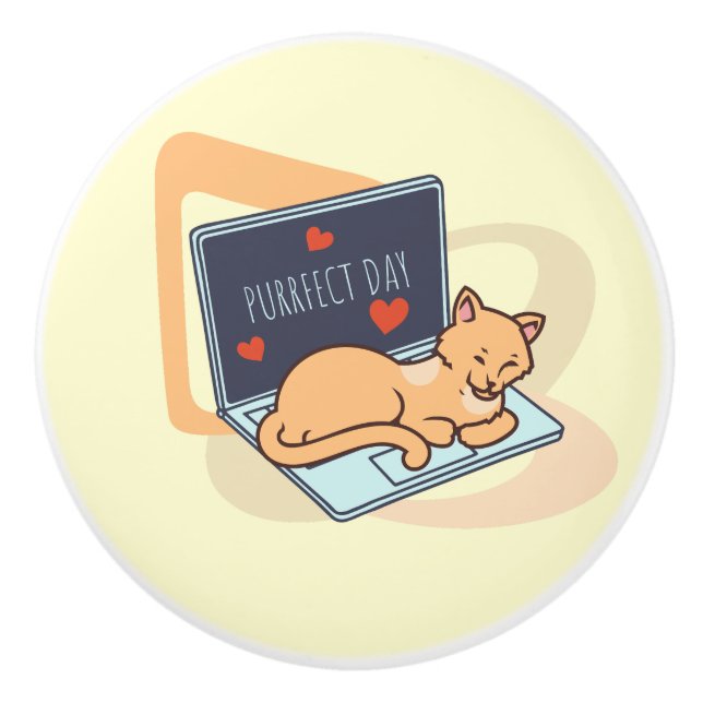 Cute sleeping computer cat ceramic knob (Front)