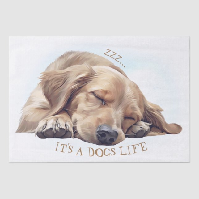 Cute Sleeping Dog Illustrated Tissue Paper (Front)