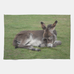 Cute Sleeping Donkey Baby Foal Tea Towel