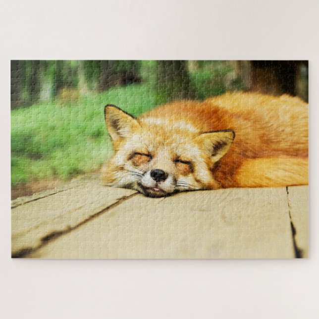 Cute sleeping fox jigsaw puzzle (Horizontal)