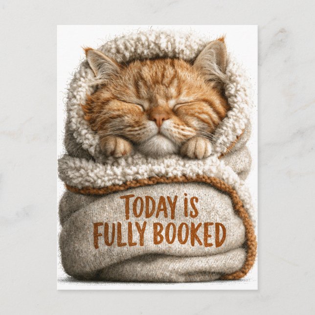 Cute Sleeping Ginger Kitten Swaddled in Blanket  Postcard (Front)