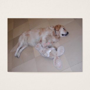 Cute Sleeping Golden Retriever With Toy Rabbit