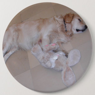 Cute Sleeping Golden Retriever With Toy Rabbit 6 Cm Round Badge