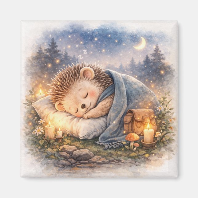 Cute Sleeping Hedgehog  Fridge Magnet (Front)
