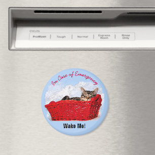 Cute Sleeping Kitten In Red Basket Custom Photo Magnet