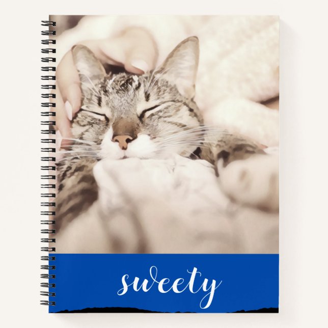 Cute Sleeping Kitten  Notebook (Front)