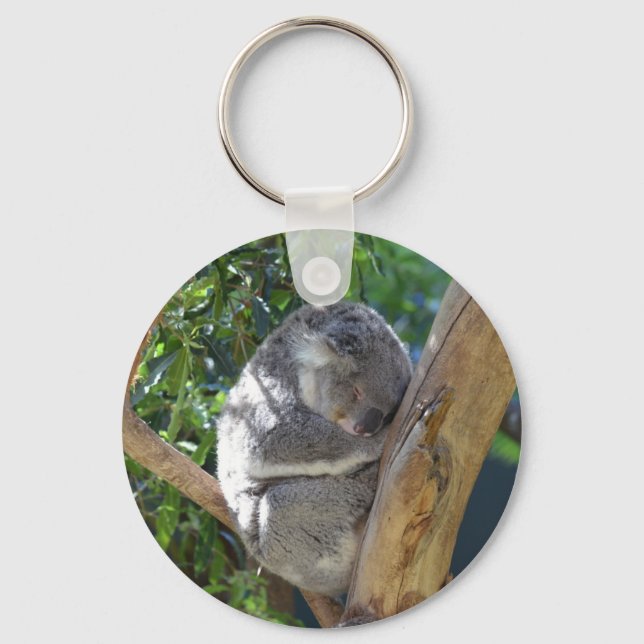 Cute Sleeping Koala in Tree Key Ring (Front)