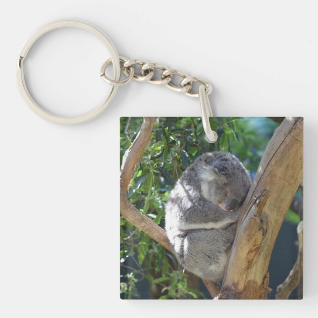 Cute Sleeping Koala in Tree Key Ring (Front)