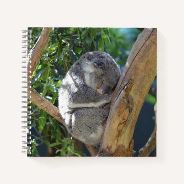 Cute Sleeping Koala in Tree Notebook (Front)