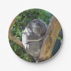 Cute Sleeping Koala in Tree Paper Plate