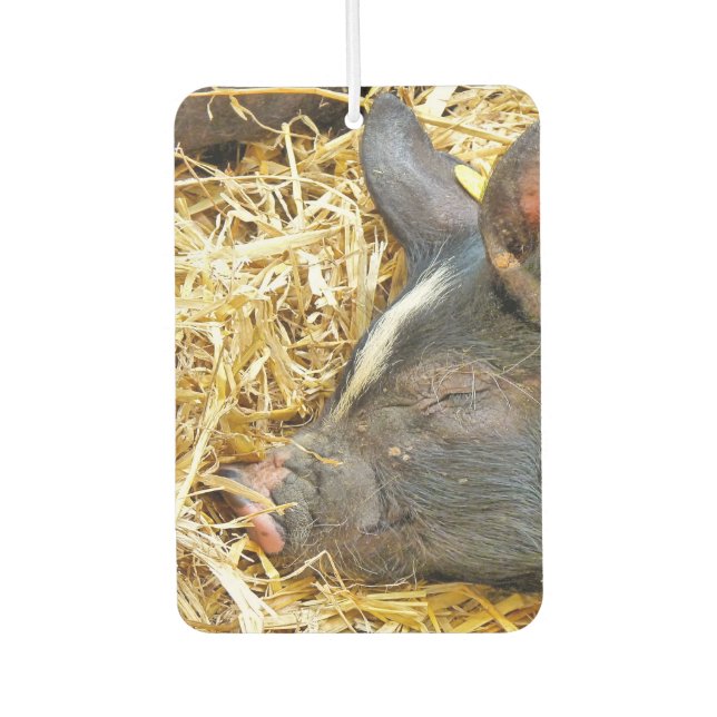 CUTE SLEEPING PIG CAR AIR FRESHENER (Front)