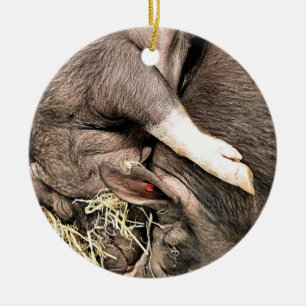 CUTE SLEEPING PIGS CERAMIC TREE DECORATION