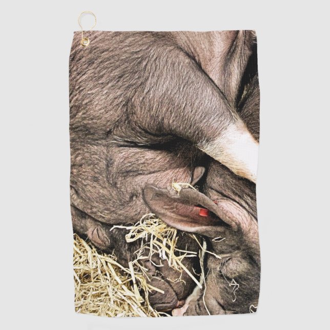 CUTE SLEEPING PIGS GOLF TOWEL (Front)