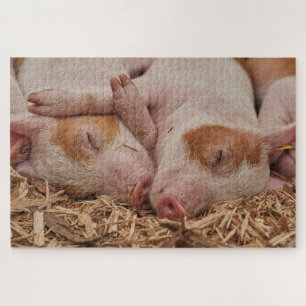 Cute sleeping pigs jigsaw puzzle