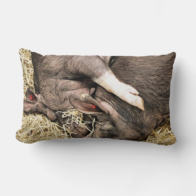 CUTE SLEEPING PIGS LUMBAR CUSHION (Front)
