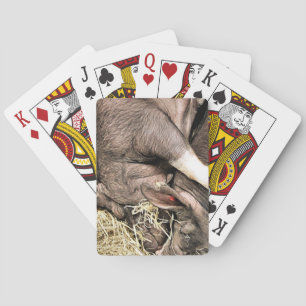CUTE SLEEPING PIGS PLAYING CARDS
