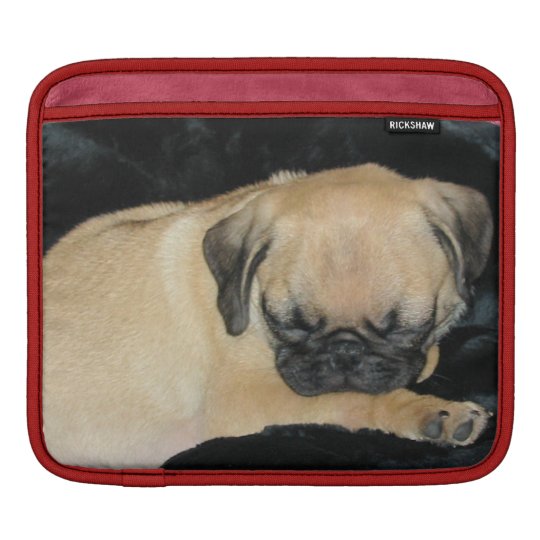 Cute Sleeping Pug Puppy iPad Sleeve