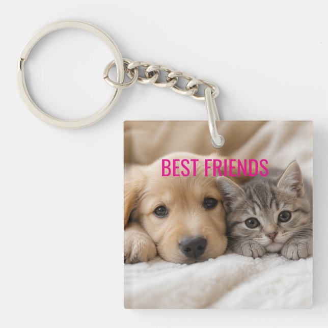 Cute Sleeping Puppy and Kitten Cuddle Key Ring (Front)