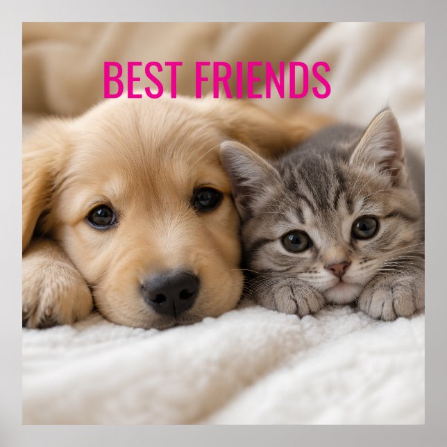 Cute Sleeping Puppy and Kitten Cuddle Poster (Front)