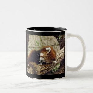 Cute Sleeping Red Panda w/ Food in Its Mouth Two-Tone Coffee Mug