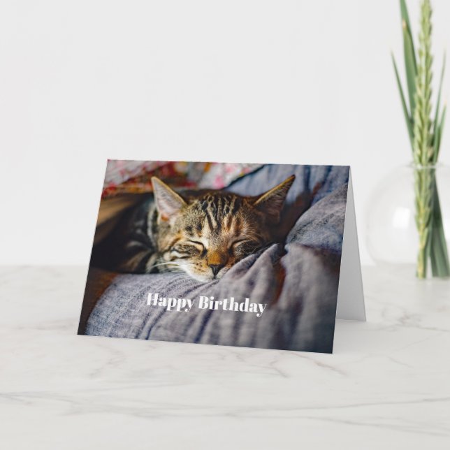 Cute Sleeping Tabby Cat Photo Birthday Card (Front)