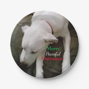 Cute Sleeping White Puppy Dog Christmas  Paper Plate