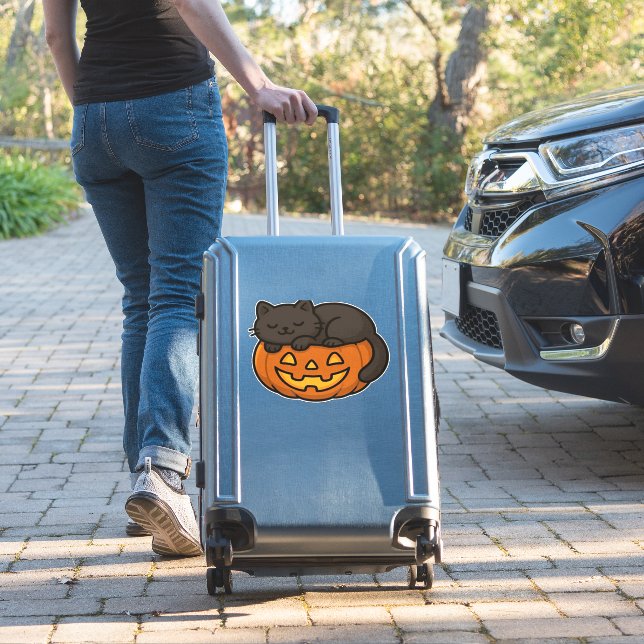 Cute Sleepy Black Cat on a Pumpkin Halloween Essen (Suitcase Insitu)