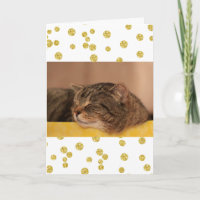 Cute Sleepy Cat Feel Better