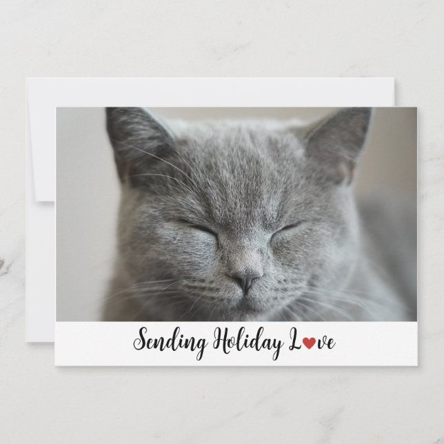 Cute Sleepy Cat Sending Holiday Love  (Front)