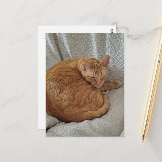 Cute Sleepy Ginger Kitty Postcard (Front/Back In Situ)