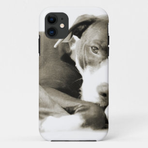 cute sleepy lazy pit bull dog iPhone 11 case