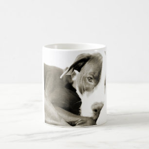 cute sleepy lazy pit bull dog coffee mug