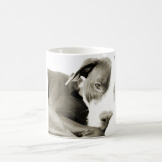 cute sleepy lazy pit bull dog coffee mug