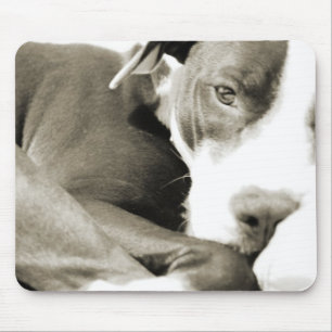 cute sleepy lazy pit bull dog mouse mat