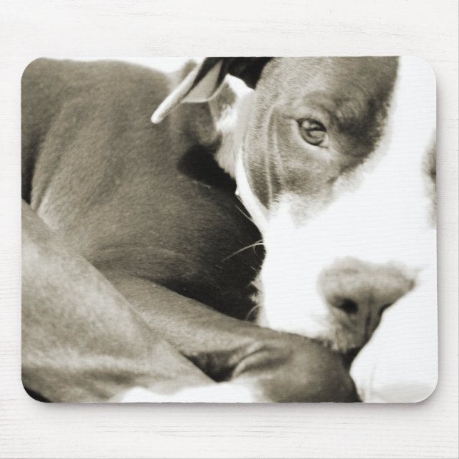cute sleepy lazy pit bull dog mouse mat (Front)