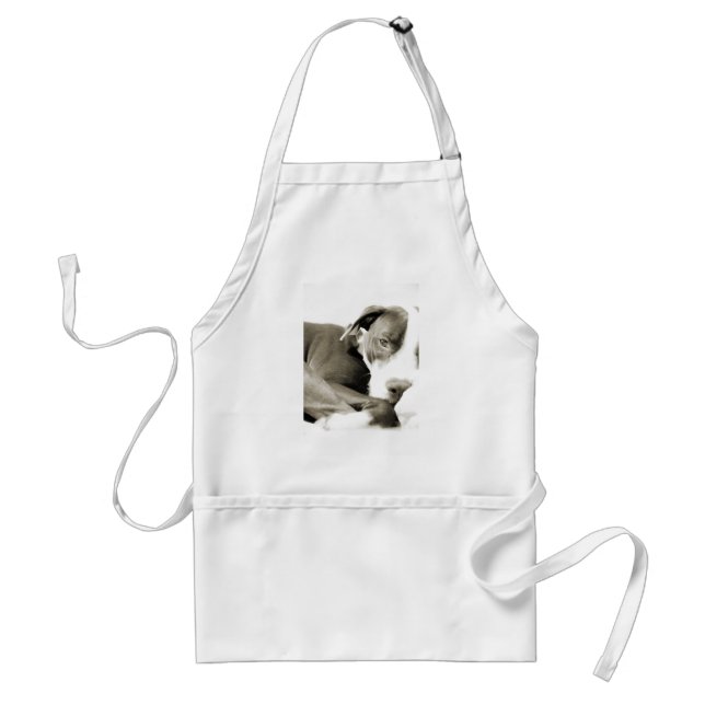 cute sleepy lazy pit bull dog standard apron (Front)