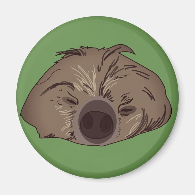 Cute Sloth Art Magnet (Front)